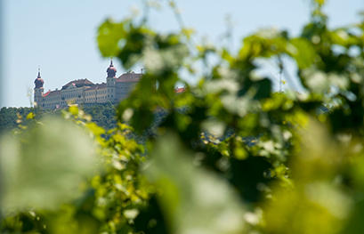 Weingut Edlinger